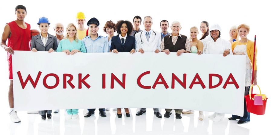10 специальностей в Канаде со 100% трудоустройством